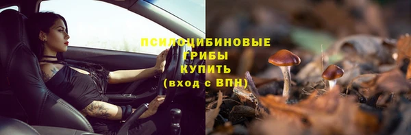 ГАЛЛЮЦИНОГЕННЫЕ ГРИБЫ Алексеевка