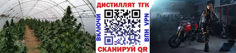 omg ссылка Черемхово ТГК жижа