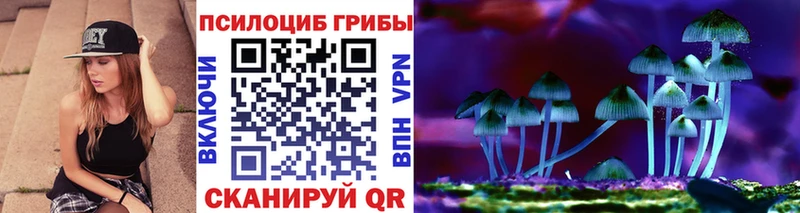 ОМГ ОМГ как войти  Черемхово  Галлюциногенные грибы Magic Shrooms 