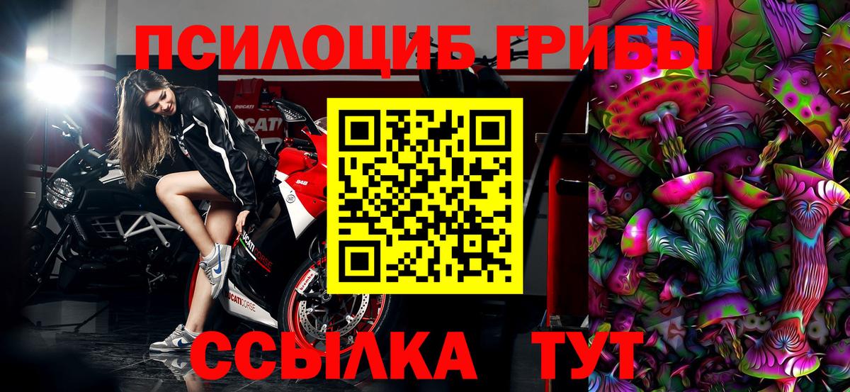 Черемхово  Галлюциногенные грибы прущие грибы  Вход с VPN 